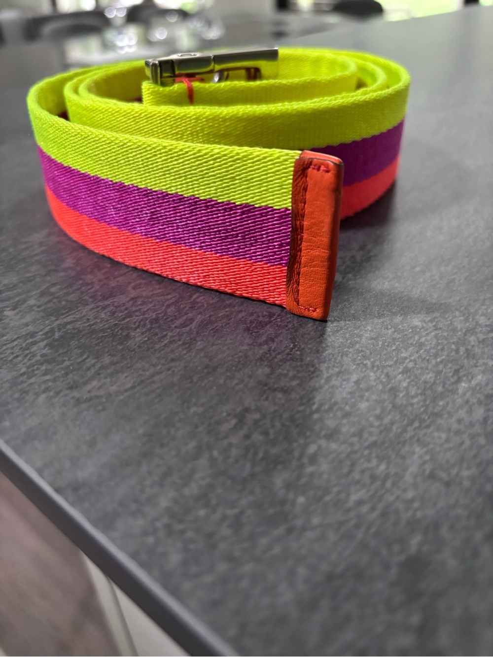 Gucci Neon Stripe Web Belt - Lime, Purple & Coral
